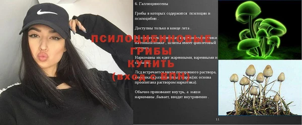 ALPHA PVP Новозыбков
