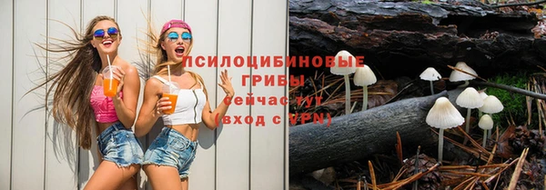 прущая мука Новодвинск