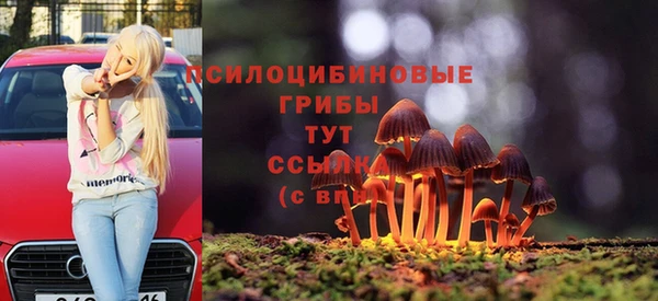 дурь Новокубанск
