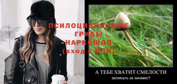 ALPHA PVP Новозыбков