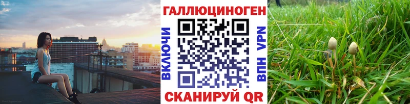Псилоцибиновые грибы Magic Shrooms  hydra сайт  Татарск 
